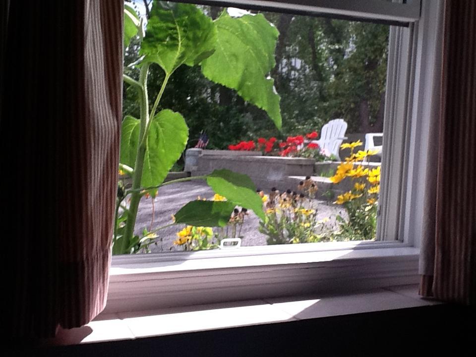 Josephine'S On The Bay Bed And Breakfast Hull Exteriör bild
